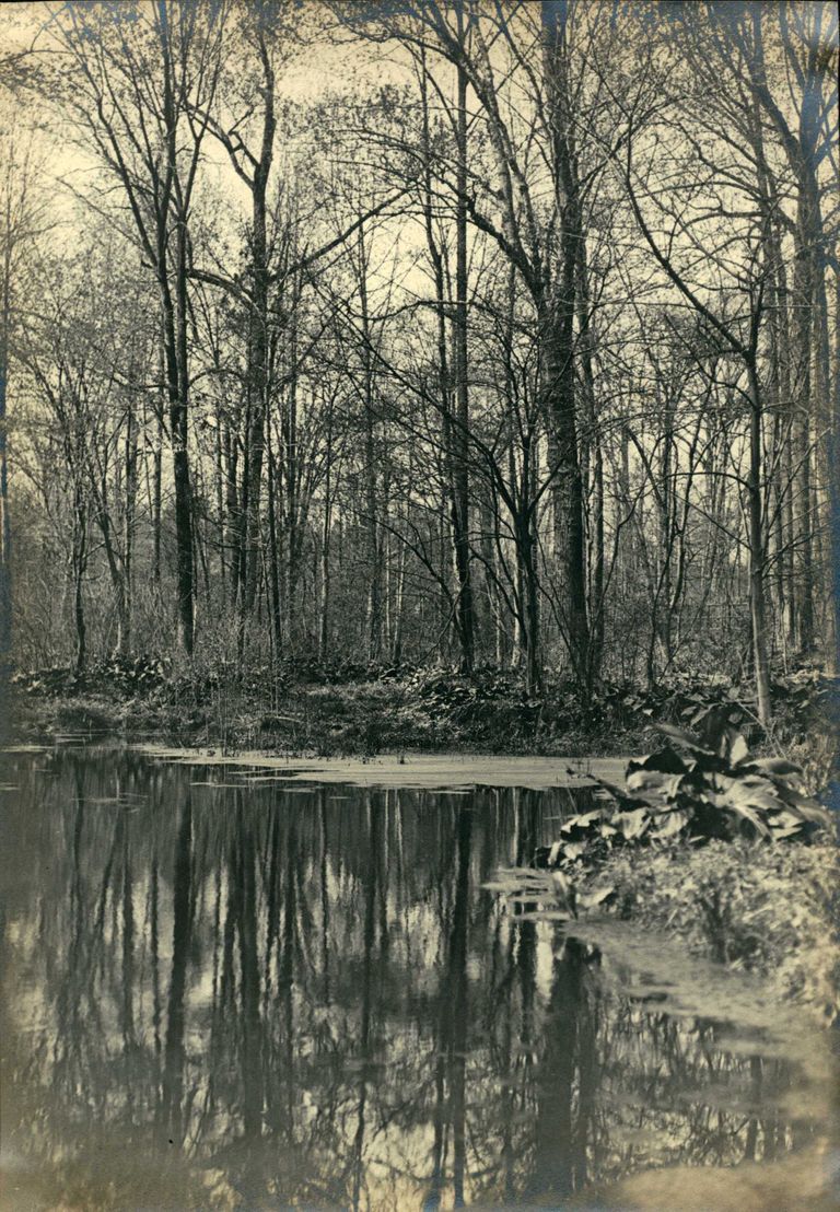          Hartshorn Photo Album 2: The Trout Pond Pool picture number 1
   