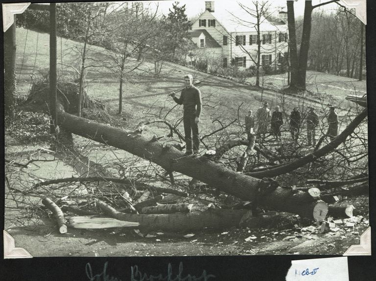          Hurricane: Aftermath, November 24, 1950 picture number 1
   