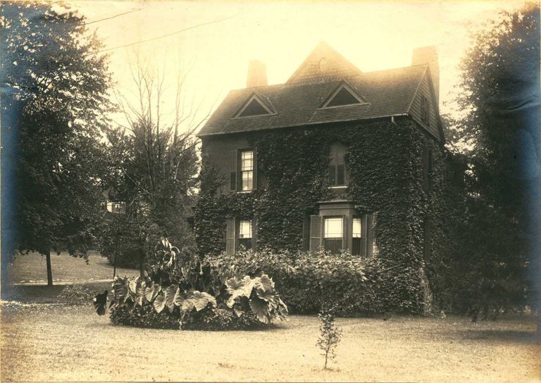          Hartshorn Album 3: Ivy Covered Hartshorn House from Rear picture number 1
   