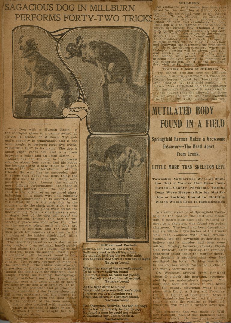          Flanagan Scrapbook: Performing Dog, Bishop O'Connor, Trotting Race, page 32 picture number 1
   