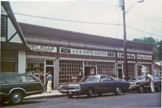          Chatham Road Businesses, c. 1975 picture number 1
   