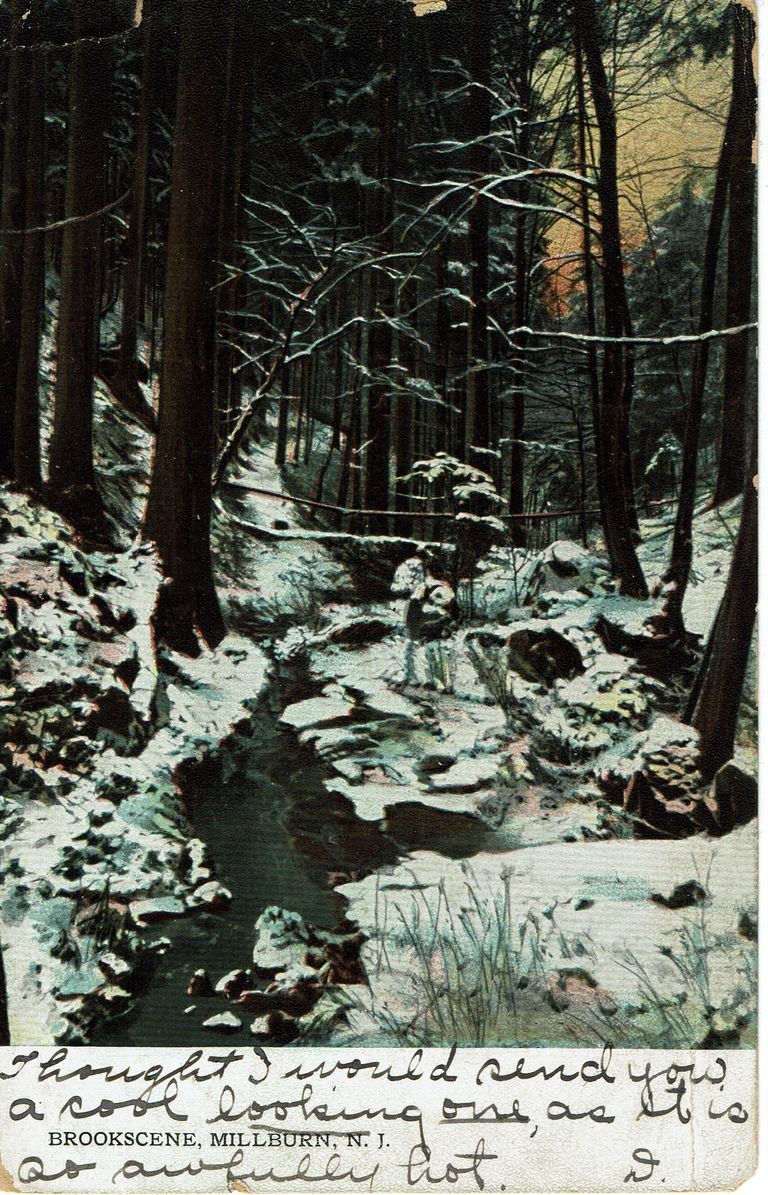          Brookscene, Millburn, 1908 picture number 1
   