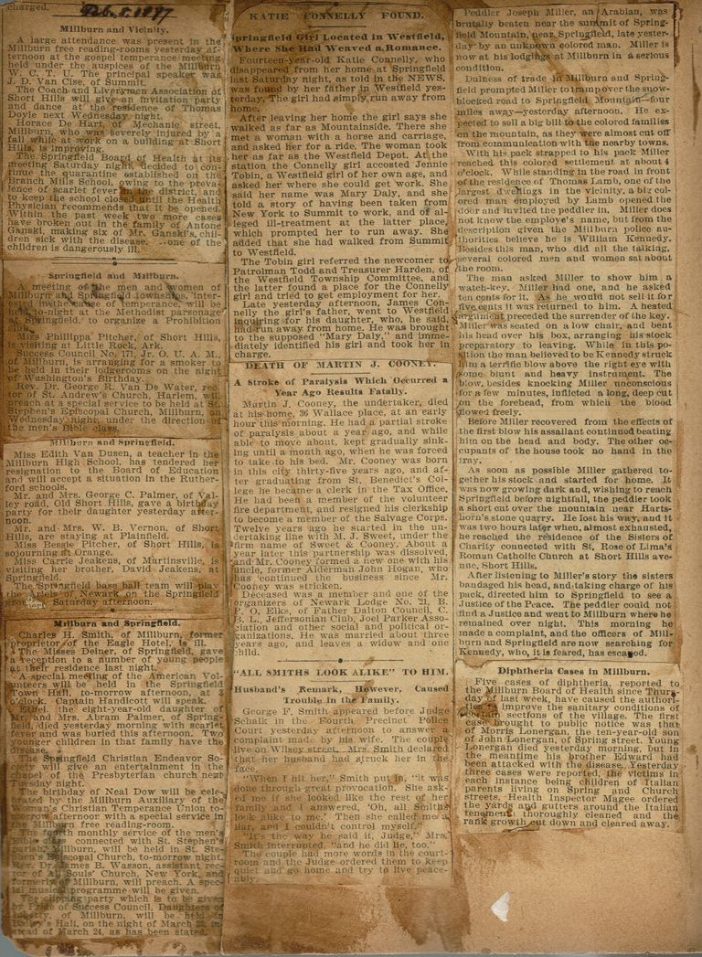          Flanagan Scrapbook: Millburn Free Reading Rooms, Temperance Meeting, Diphtheria, 1897 picture number 1
   