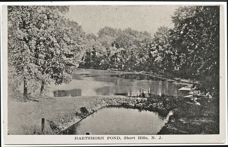          Hartshorn: Hartshorn Pond, Short Hills picture number 1
   