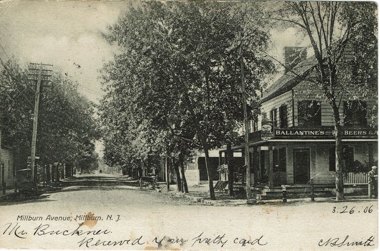          Millburn Avenue: Empire Hotel and Millburn Hotel, 1906 picture number 1
   