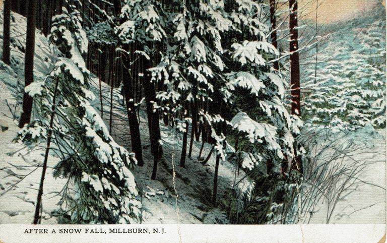          After a Snow Fall, Millburn, NJ, 1915 picture number 1
   