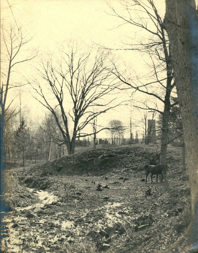          Hartshorn Photo Album 2: Near the Old Pump House picture number 1
   