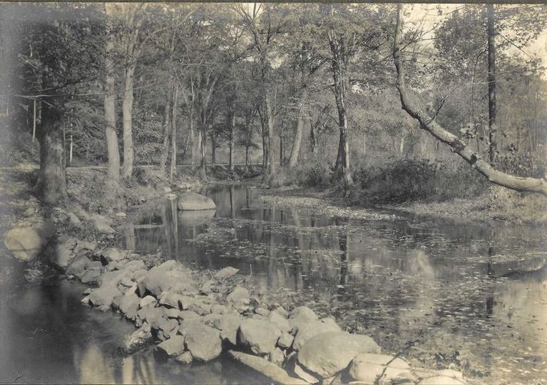          Hartshorn: Cora Hartshorn Photograph of Rahway River in South Mountain Reservation picture number 1
   