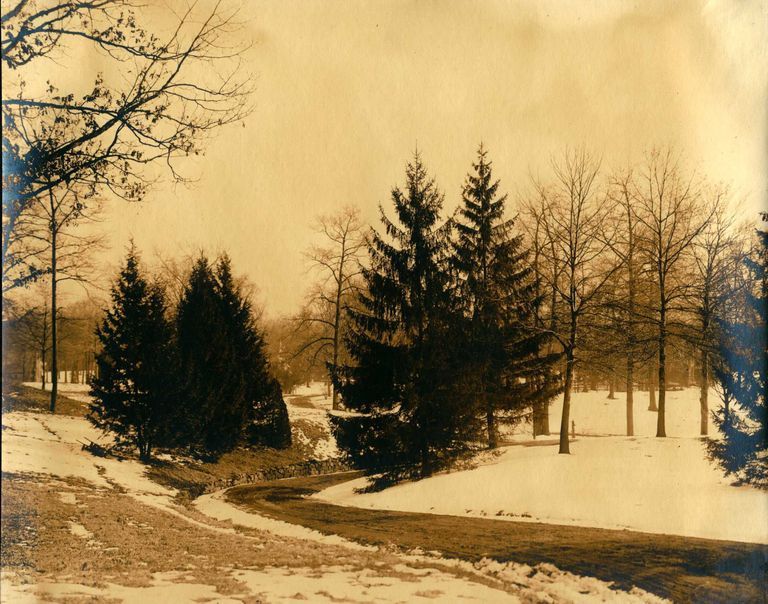          Hartshorn Photo Album Short Hills: Winding Road in the Snow picture number 1
   
