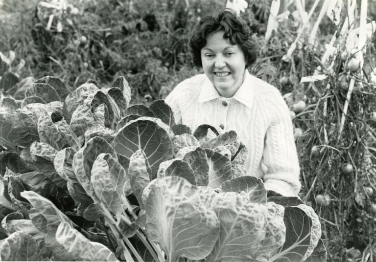          Bolt: Mrs. Donald Bolt Showing Off Her Prize Winning Brussels Sprouts, 1979 picture number 1
   