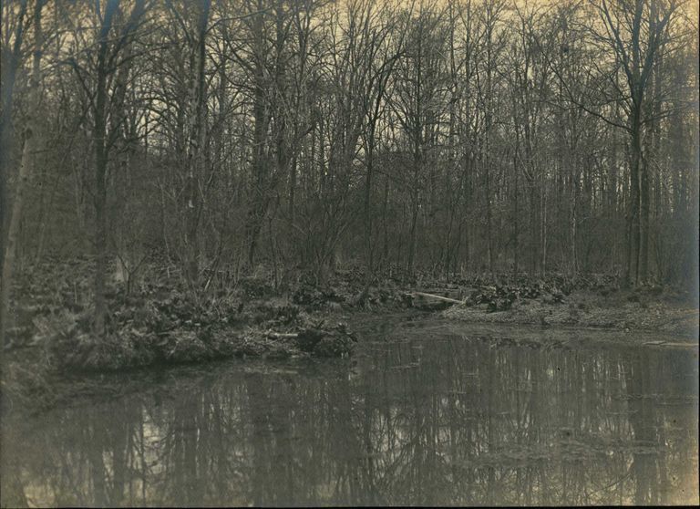          Hartshorn Photo Album 2: Trout Pond picture number 1
   