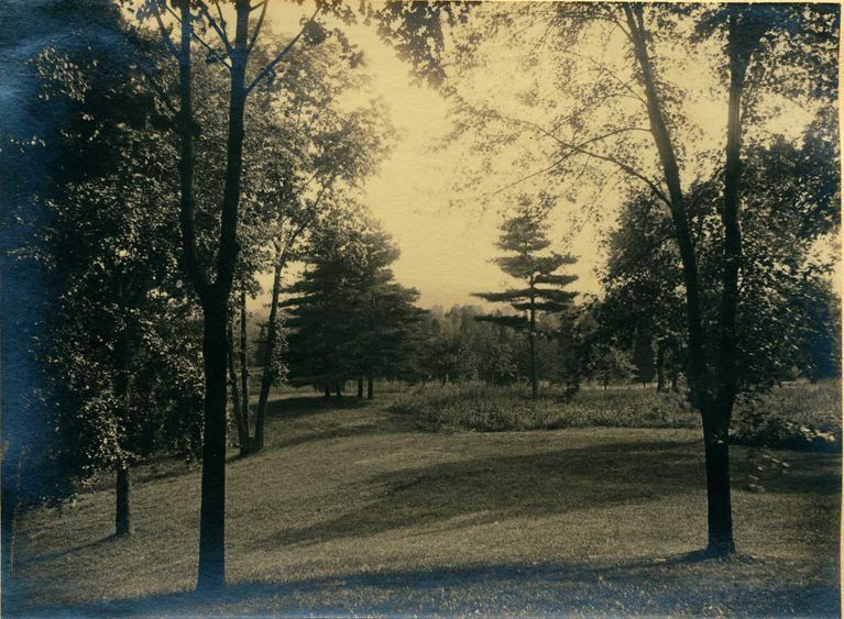          Hartshorn Album 3: View of Clearing Near Railroad Tracks picture number 1
   