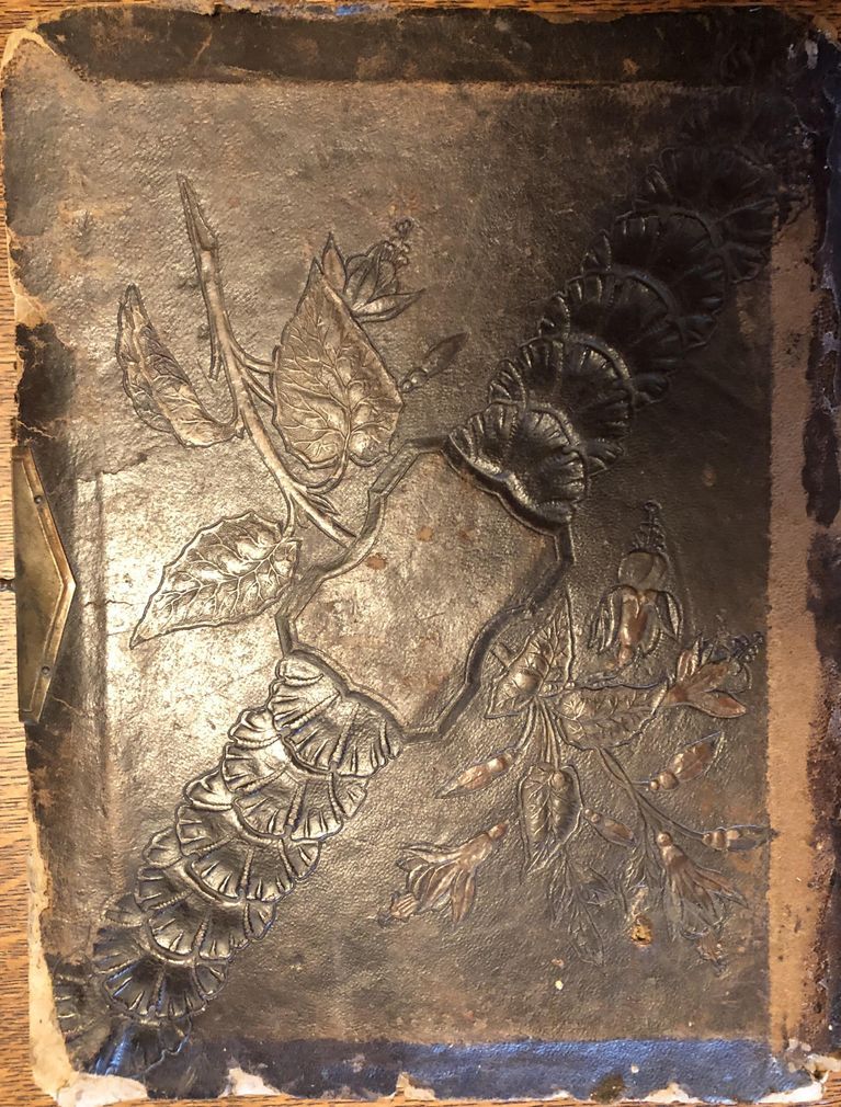          Ellis Family Photo Album, probably from the estate of 9 Orchard Street, Millburn
   