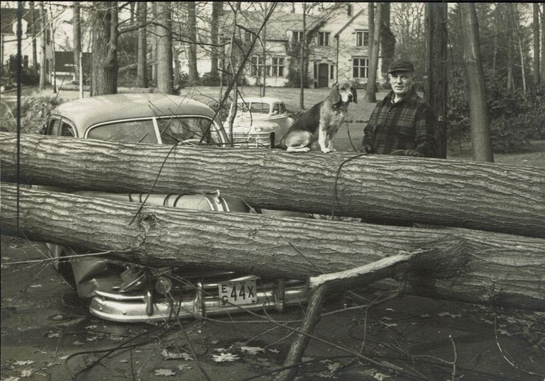          Hurricane: Hurricane Damage at Montview Avenue and Delwick Lane, 1950 picture number 1
   