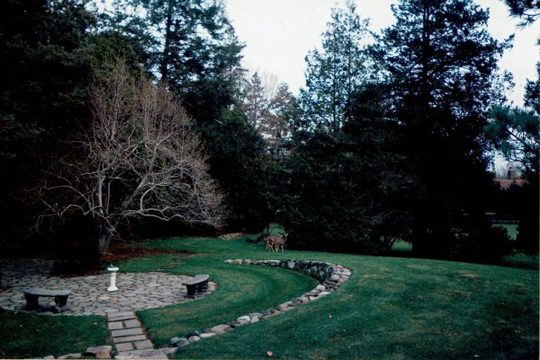          Hartshorn: 153 Highland Avenue Garden picture number 1
   