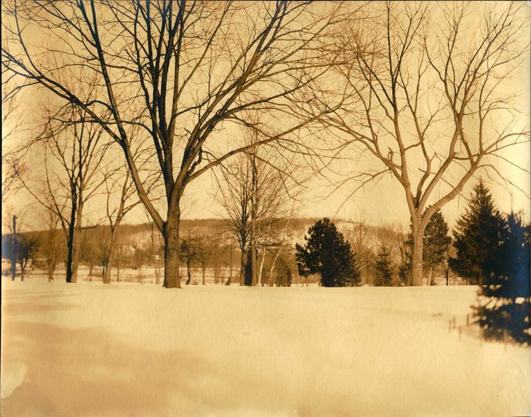          Hartshorn Photo Album Short Hills: Trees and Mountain in Winter picture number 1
   