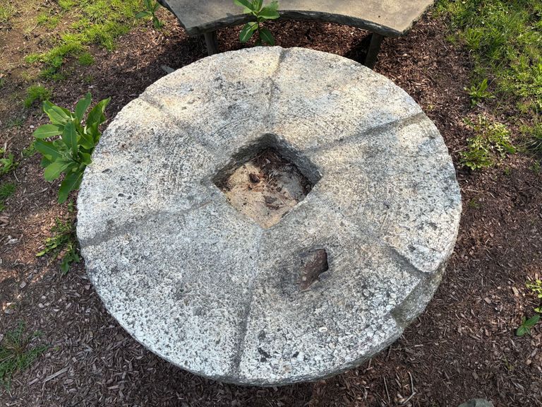          Photograph by Dorothy Kelly, June 5, 2025
   