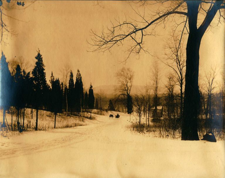          Hartshorn Photo Album Short Hills: Sled in Winter picture number 1
   