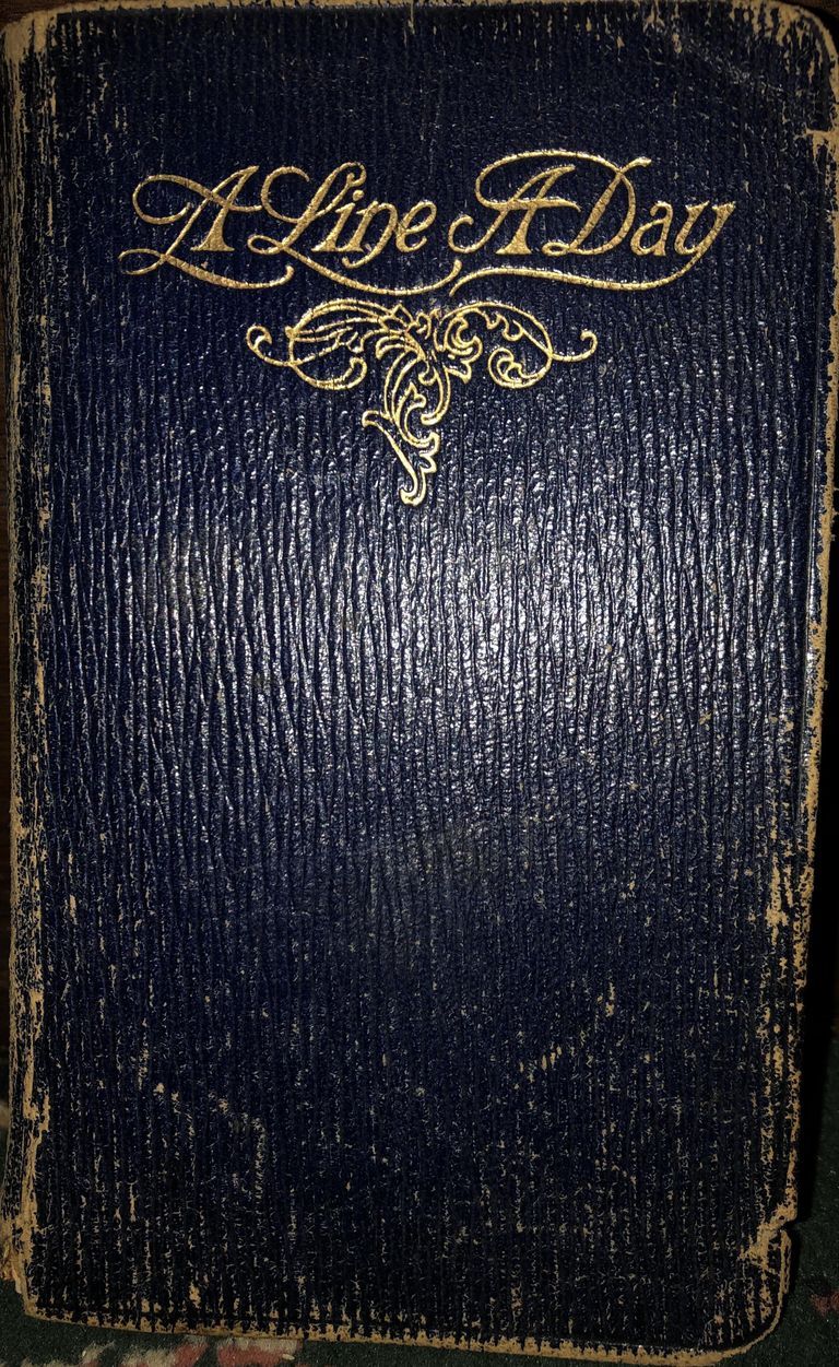          Kellogg: Elizabeth Kellogg Diary, 1924-8 picture number 1
   