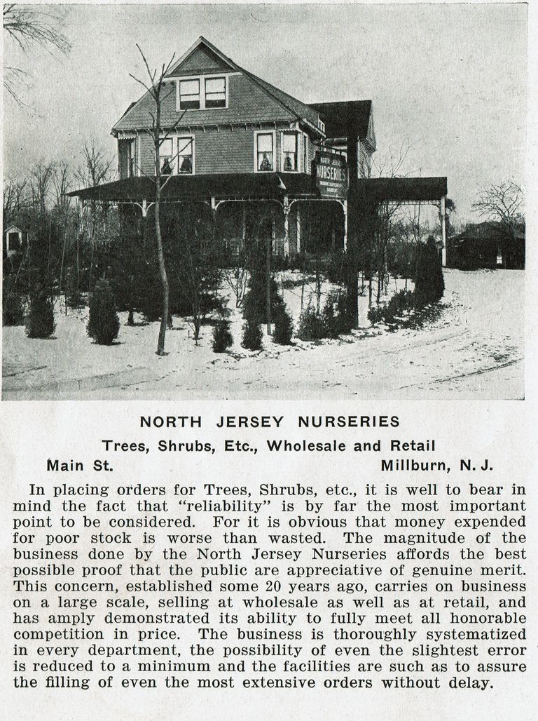          New Jersey Nurseries, c. 1915 picture number 1
   