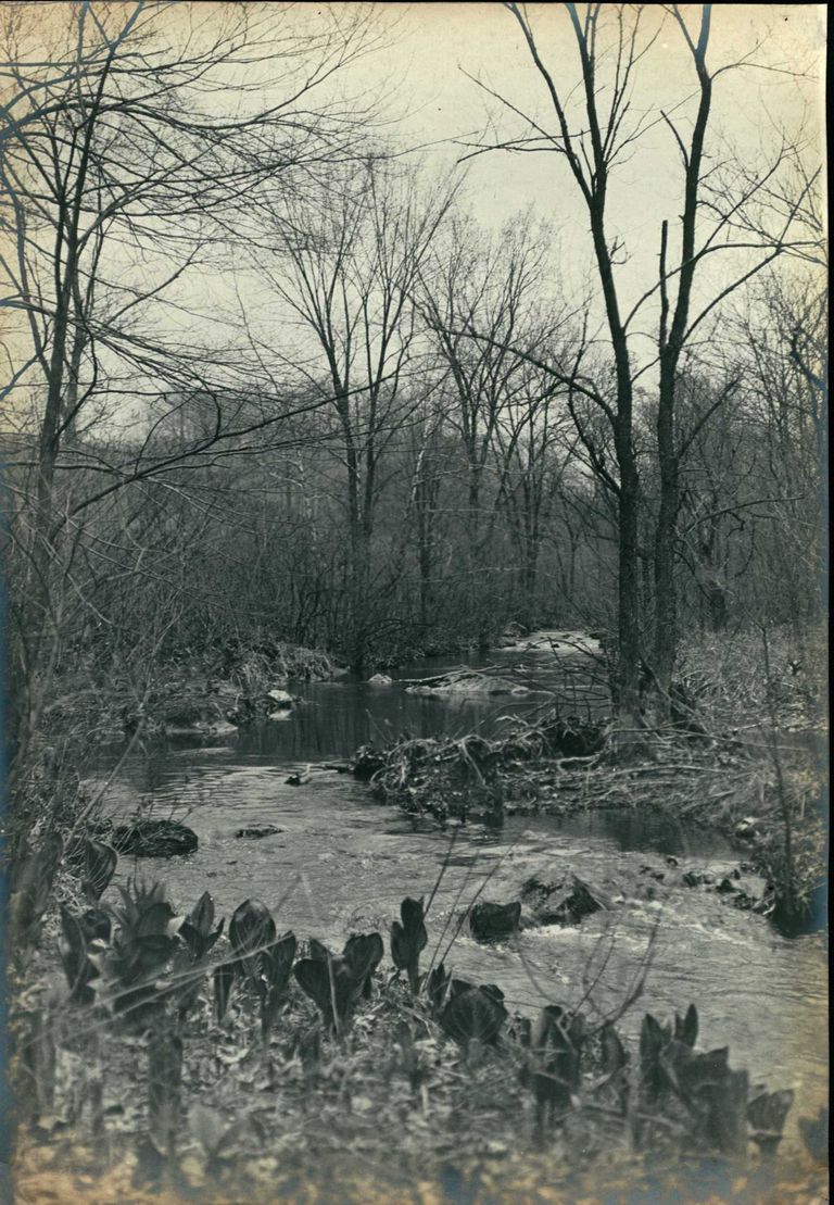          Hartshorn Photo Album 2: The Trout Pond Brook picture number 1
   
