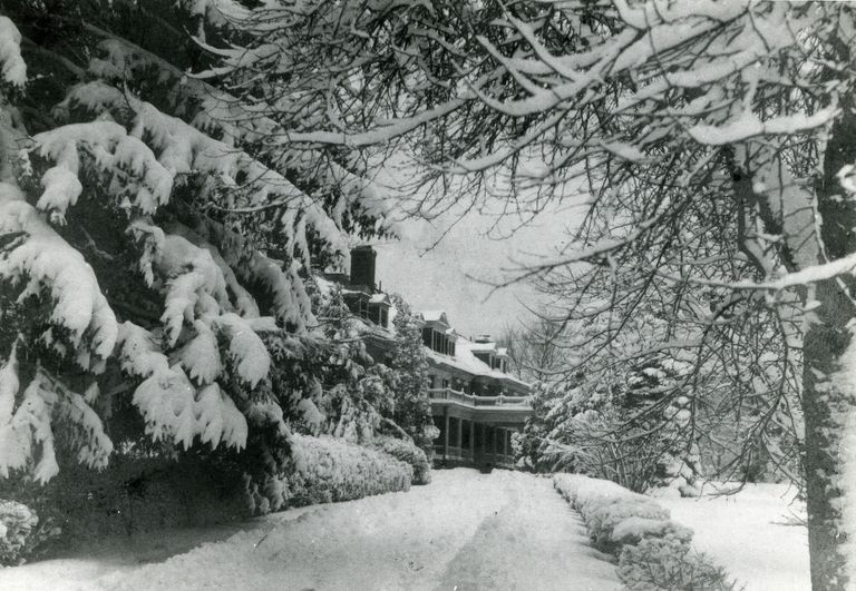          Up the driveway winter scene; Image Id #456
   