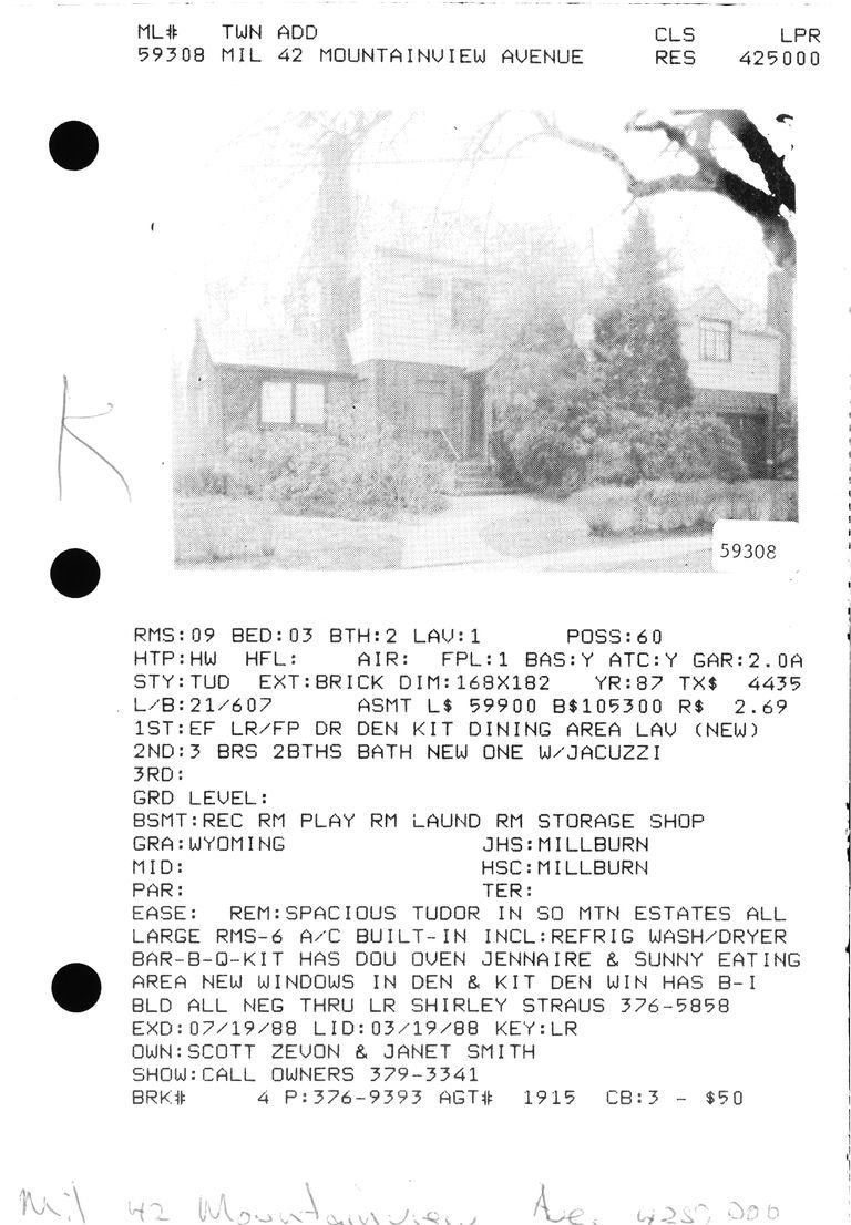          42-MOUNTAINVIEW-ROAD picture number 1
   