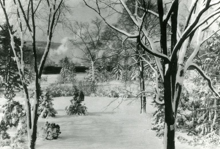          18 Crescent Place. Snow Covered garden & trees as steam train creates mist in background.; Image ID # 459
   