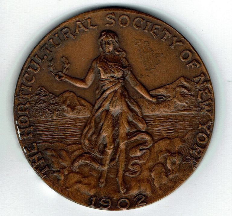          Pitcher and Manda: Horticultural Society Award for Stags Horn, 1928 picture number 1
   