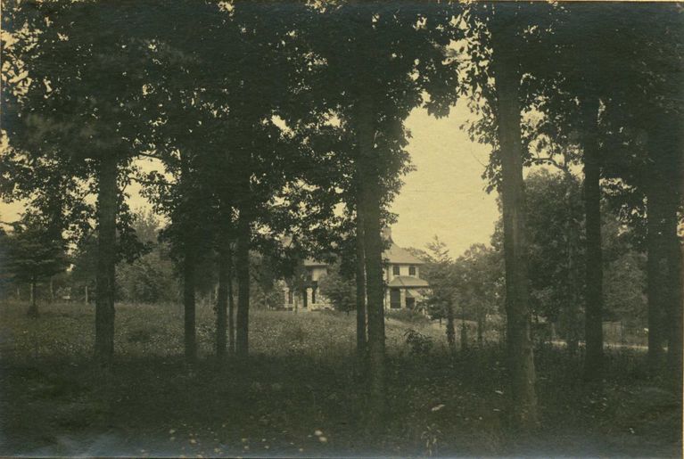          Hartshorn Album 3: House as viewed through screen of trees picture number 1
   
