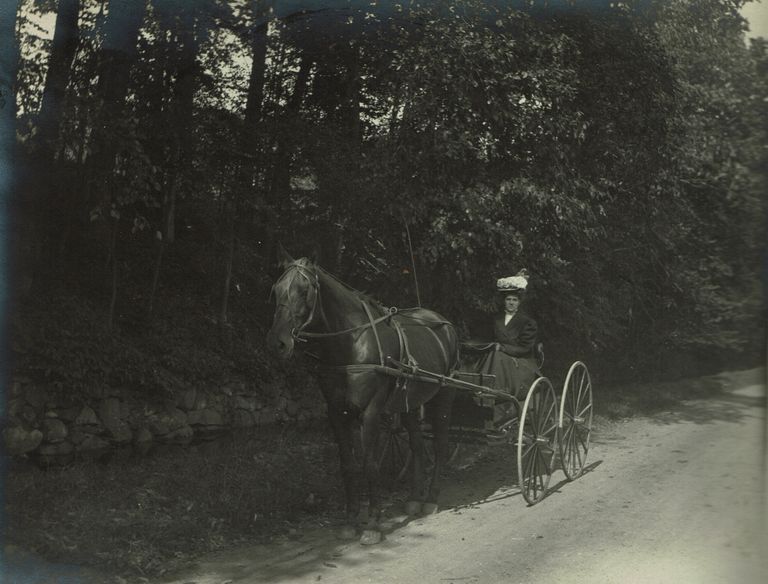          Marshall-Schmidt Album: Elizabeth Schmidt-Marshall Driving Horse & Carriage picture number 1
   