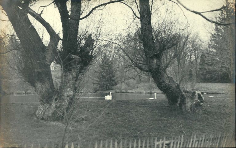          Hartshorn Photo Album 2: Brooklawn picture number 1
   