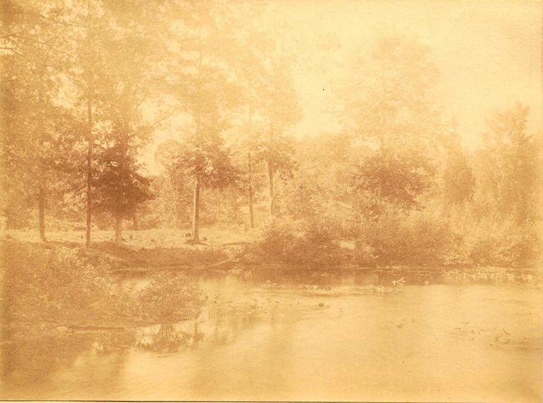          Hartshorn Album 3: Pond in Sunlight picture number 1
   