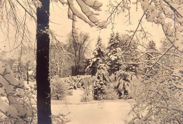          Hartshorn: Hartshorn Residence in Winter picture number 1
   