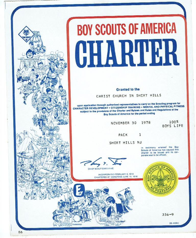          Scouts: Boy Scouts of America Charter picture number 1
   