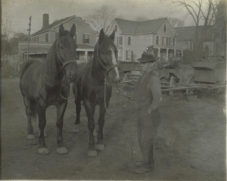          Marshall-Schmidt Album: Man Standing Next to Two Horses picture number 1
   