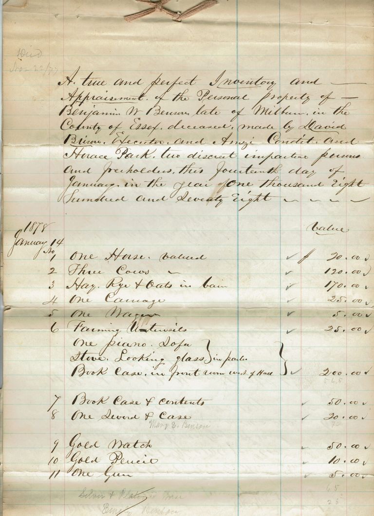          Brison: Benjamin Benson Property Inventories, 1878 picture number 1
   