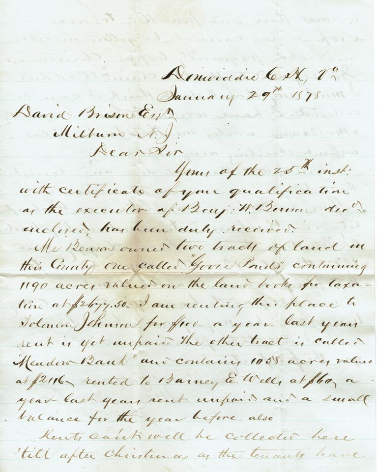          Brison Letter: David Brison's Claim to Goose Ponds Lands, 1878 picture number 1
   