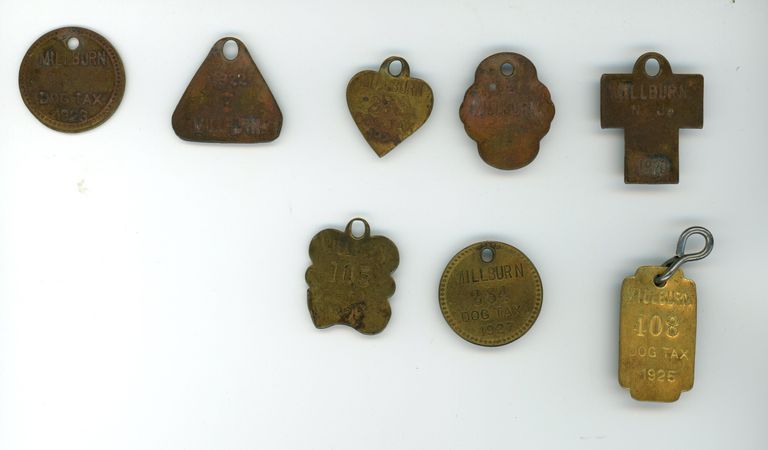          Dog Licenses: Dog Licenses from Millburn Township, 1920-1927 picture number 1
   