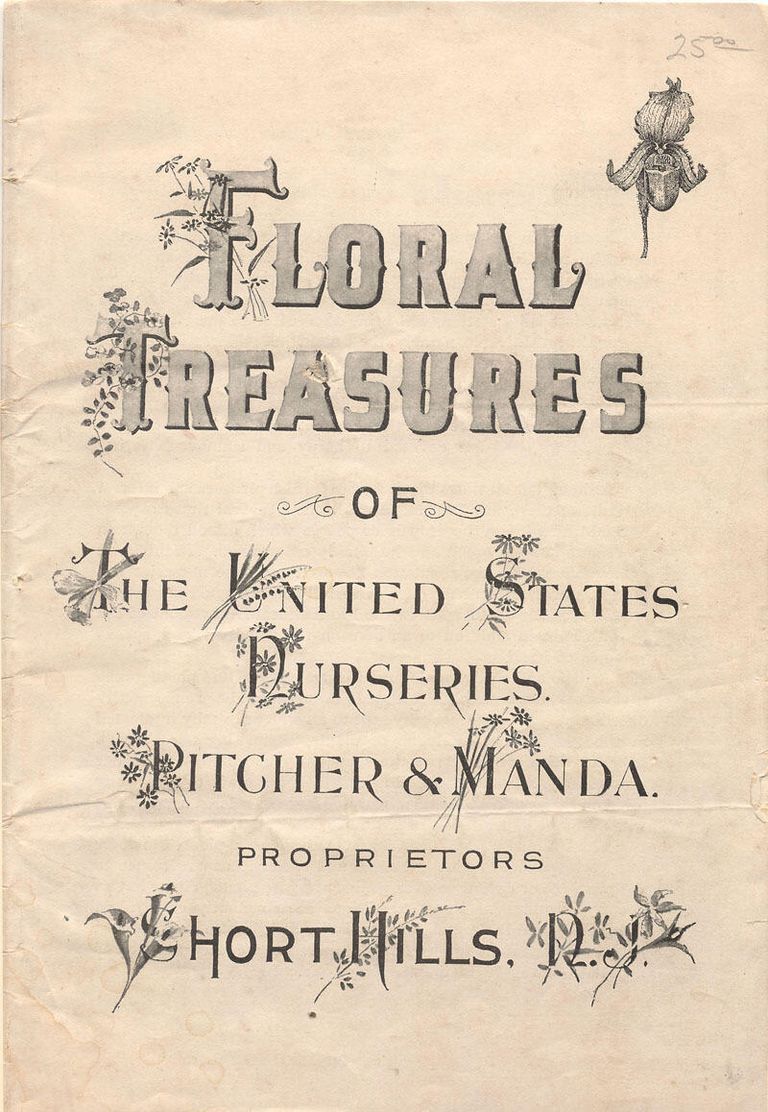          Pitcher & Manda Nurseries catalog, 1890 picture number 1
   