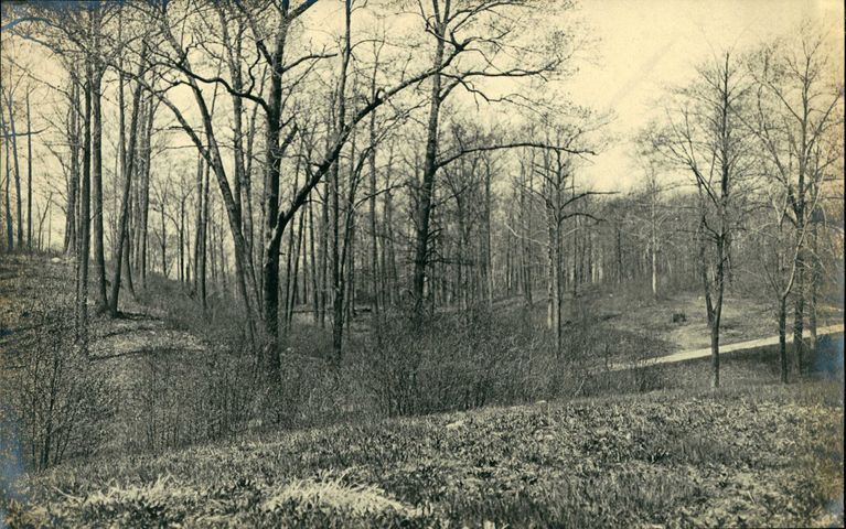          Hartshorn Photo Album 2: The Ridge Road picture number 1
   