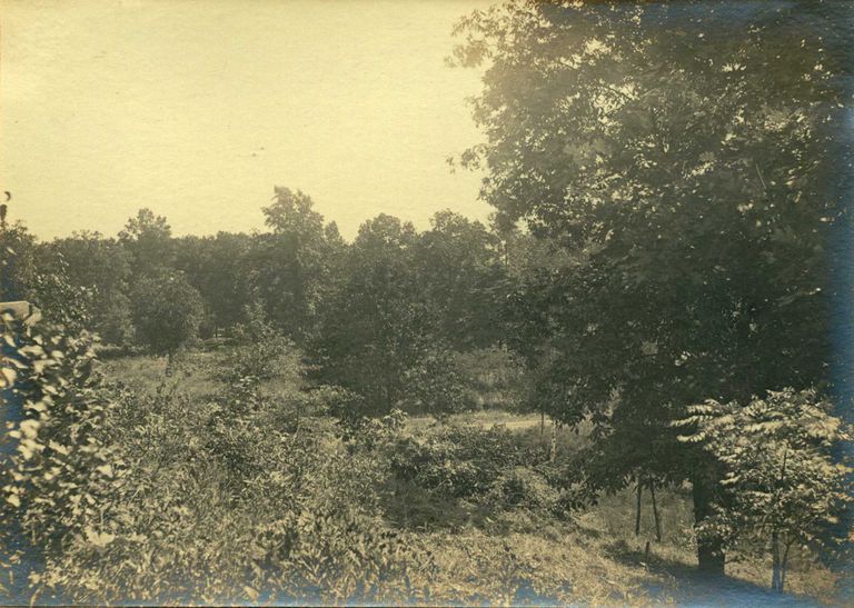          Hartshorn Album 3: Landscape View in Short Hills picture number 1
   