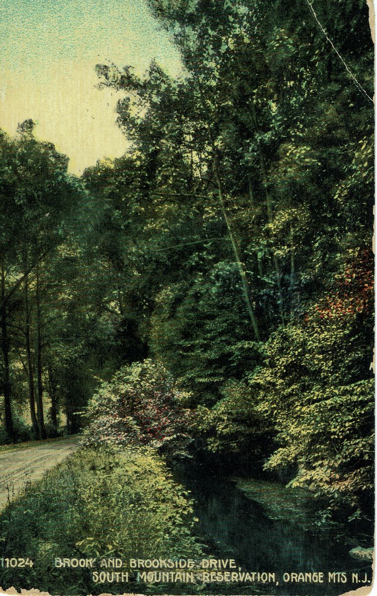          Postally used, postmark February 6, 1917
   