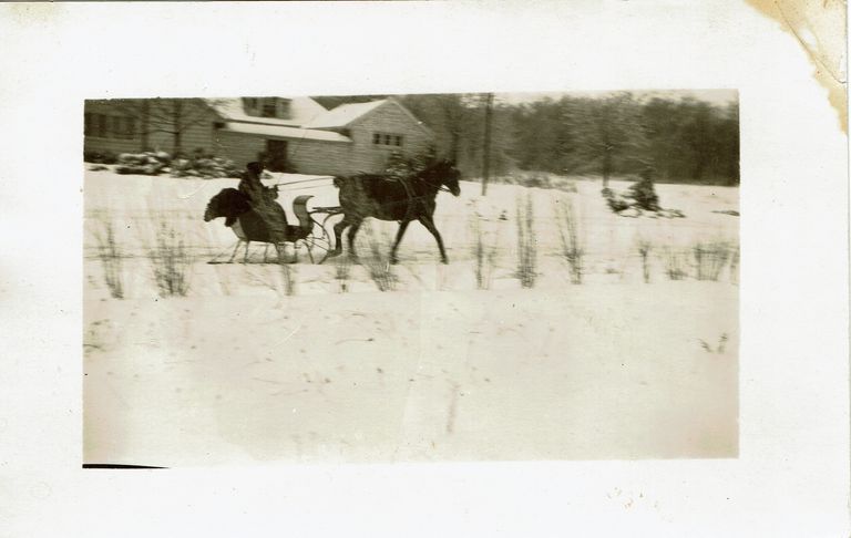          Horse-Drawn Sleigh picture number 1
   