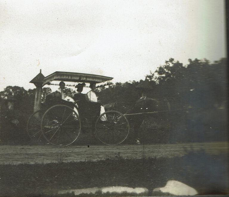         Marshall-Schmidt Album: Women in Horse-Drawn Carriage picture number 1
   