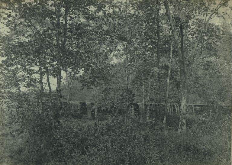          Diamond Mill Pond, South Mountain Reservation, c. 1900 picture number 1
   