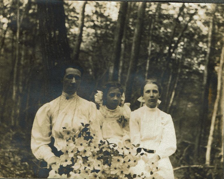          Marshall-Schmidt Album: Ellen Schmidt Marshall, Margaret Marshall and Girl in Woods with Flowers picture number 1
   