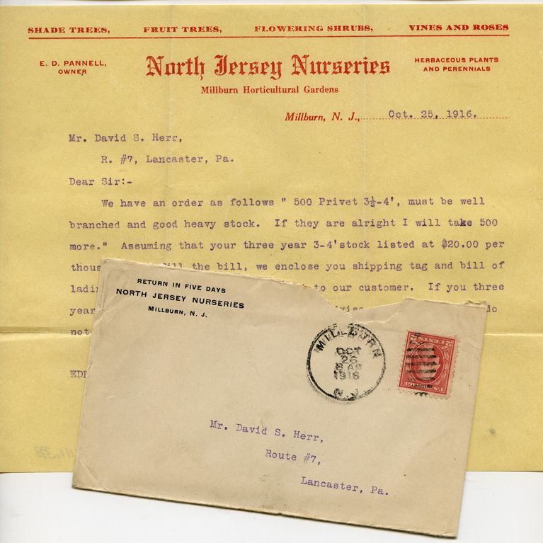          North Jersey Nurseries Correspondence, October 25, 1916 picture number 1
   