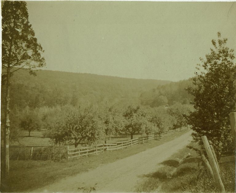          Brookside Drive with view of Orange Mountain, May 1900 picture number 1
   