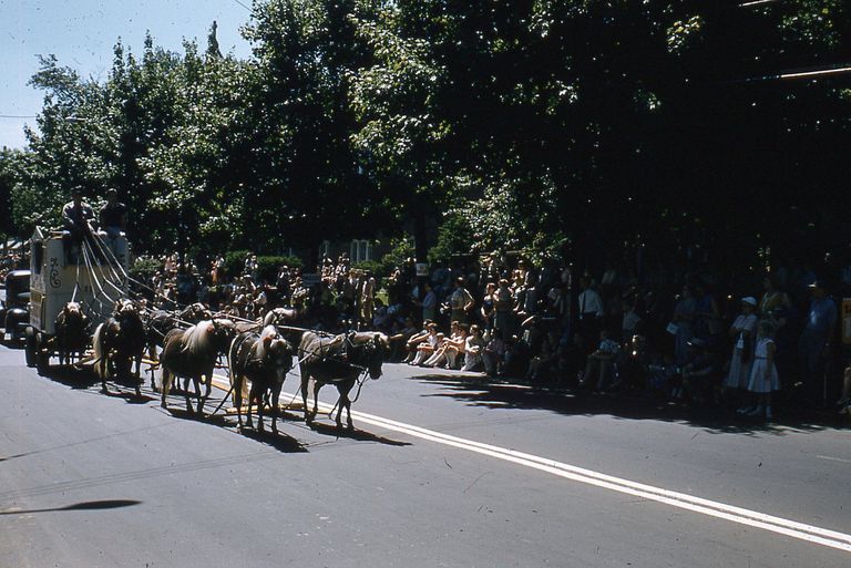          Centennial Parade: Radio Sales Corp. Calliope and Eight Ponies, 1957 picture number 1
   